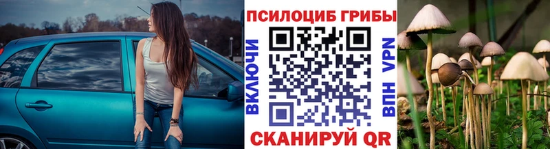 Псилоцибиновые грибы GOLDEN TEACHER  где купить   Мглин 