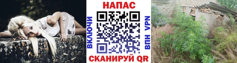 МАРИХУАНА семена  Мглин 
